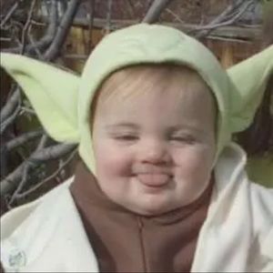 Meet your Posher, Freddie